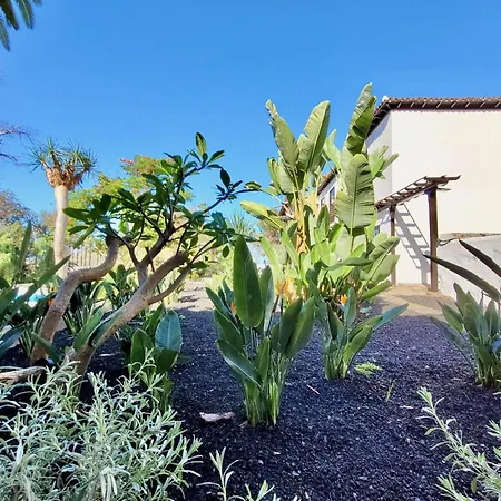 Hacienda La Vizcaina 아파트 라오로타바